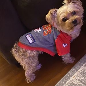 Meet your Posher, Kyle